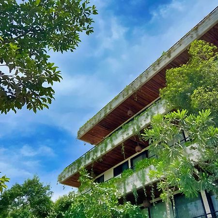 Etnica Ku - Tulum Jungle Paradise Экстерьер фото